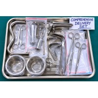 COMPREHENSIVE DELIVERY SET COMPREHENSIVE DELIVERY SET