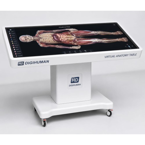 HD DIGIHUMAN VIRTUAL ANATOMY TABLE